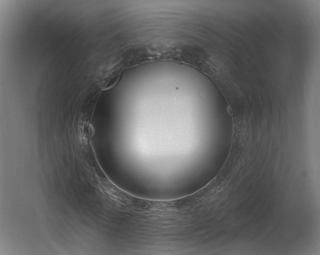 X0000060580770200511031335