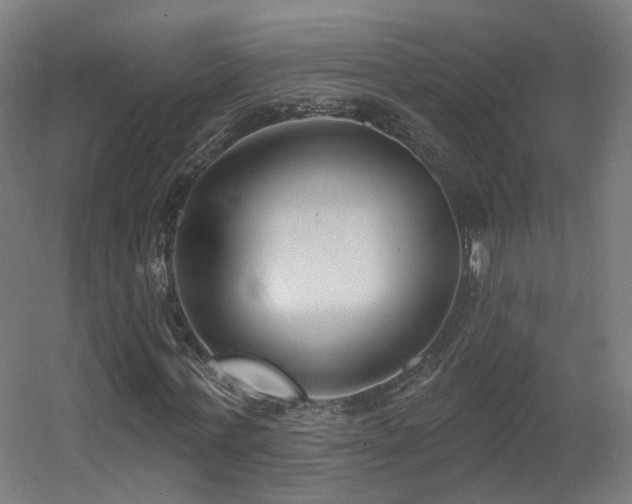 X0000060580771200511031335