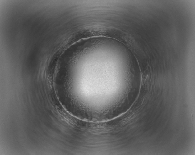 X0000060580772200511031335