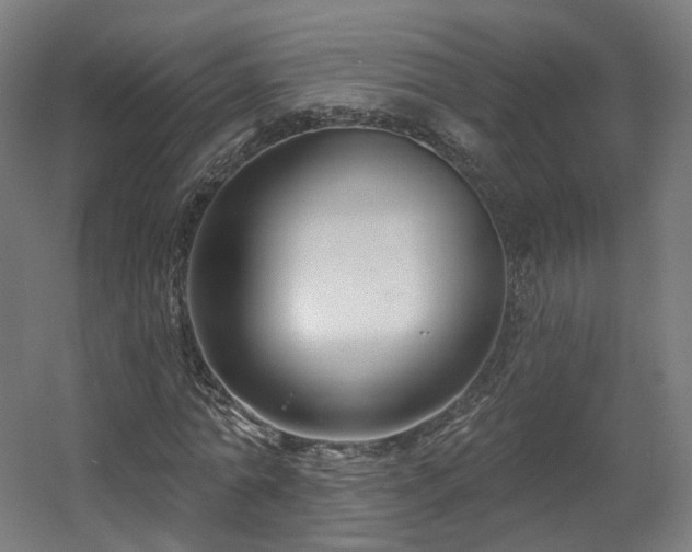 X0000060580774200511031335