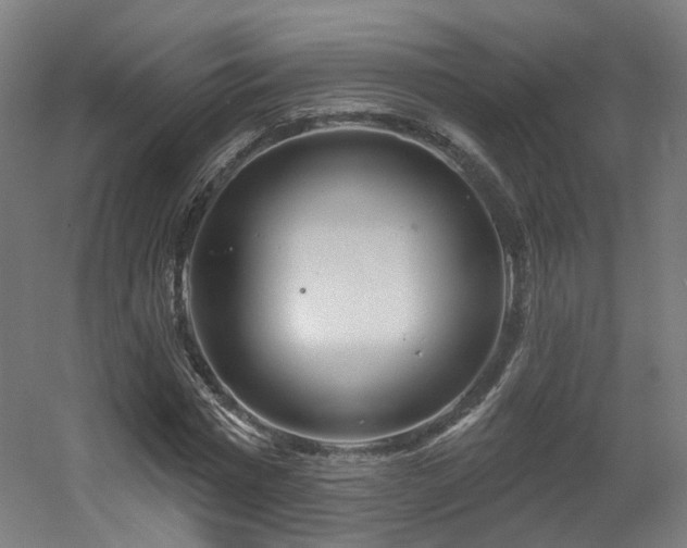 X0000060580777200511031335