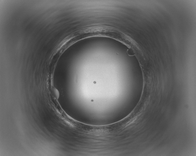 X0000060580778200511031335