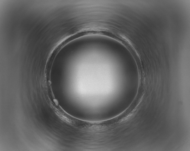 X0000060580779200511031335