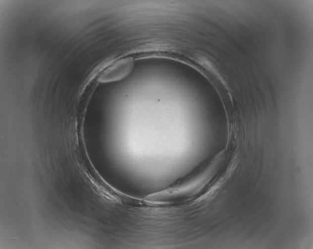 X0000060580781200511031335