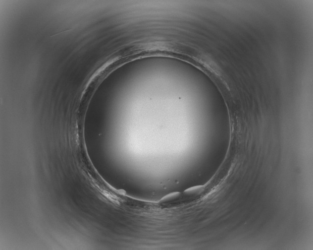 X0000060580782200511031335