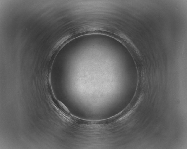 X0000060580785200511031335
