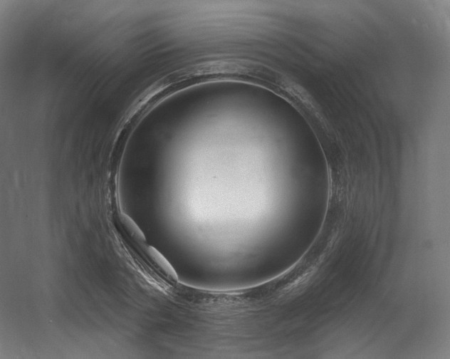 X0000060580786200511031335
