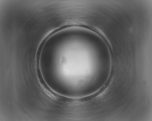 X0000060580787200511031335