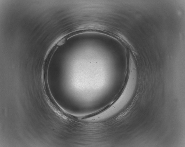 X0000060580788200511031335