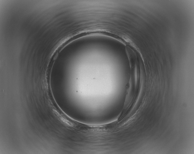 X0000060580789200511031335