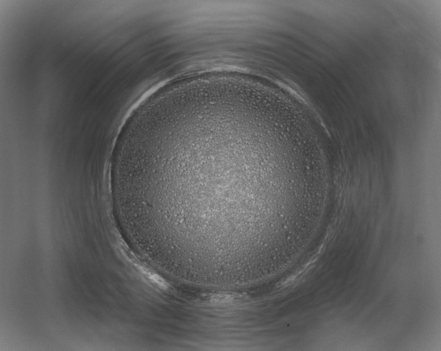 X0000060580790200511031335