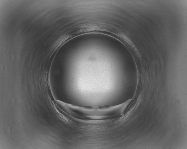 X0000060580793200511031335
