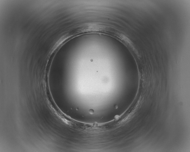 X0000060580794200511031335
