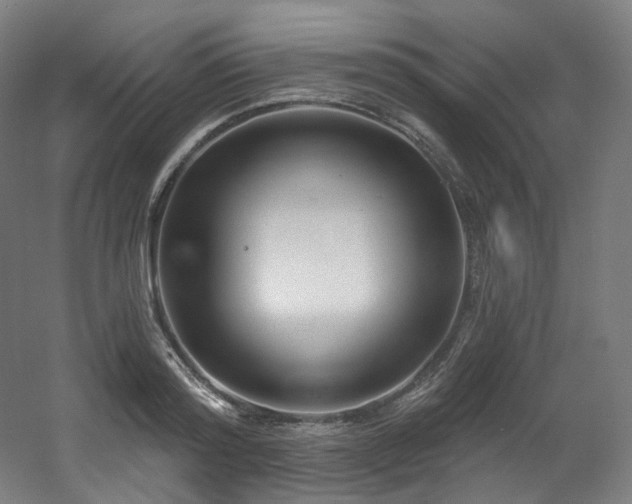 X0000060580796200511031334