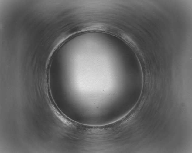 X0000060580800200511031334