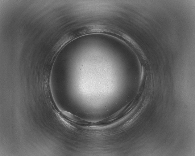 X0000060580801200511031334
