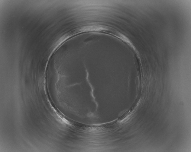 X0000060580802200511031334