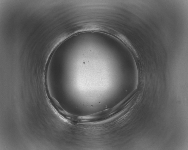 X0000060580805200511031334