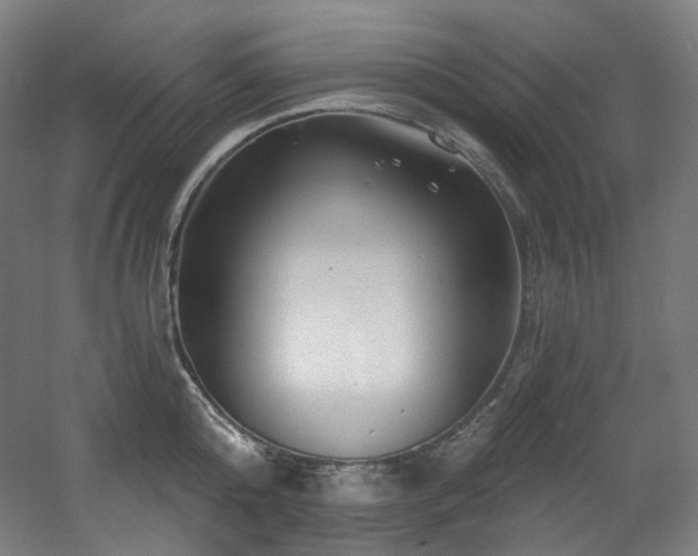 X0000060580808200511031334
