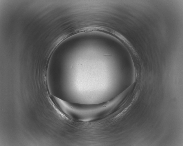 X0000060580809200511031334