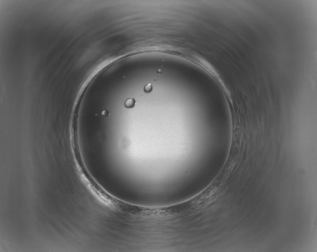 X0000060580811200511031334