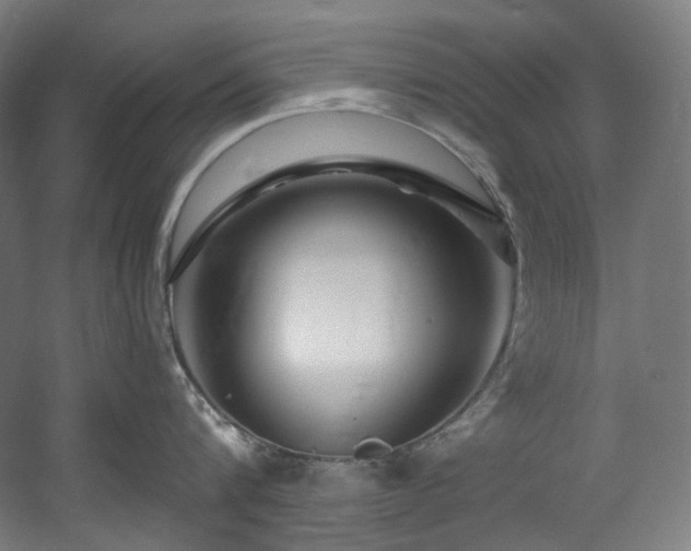 X0000060580816200511031334