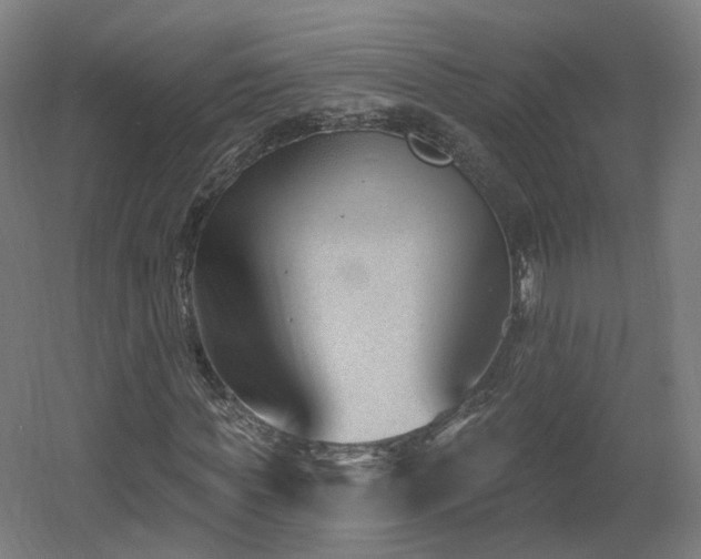 X0000060580819200511031333