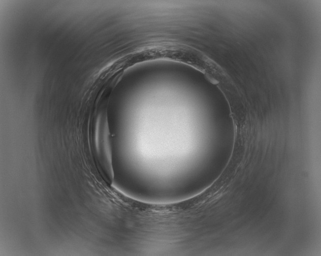 X0000060580822200511031333