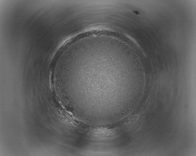X0000060580823200511031333