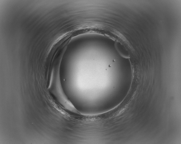 X0000060580826200511031333