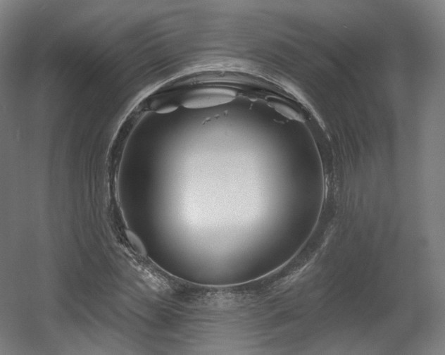 X0000060580829200511031334