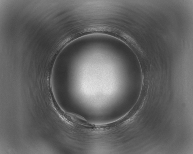 X0000060580841200511031334