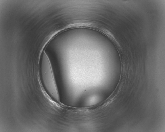 X0000060580844200511031334