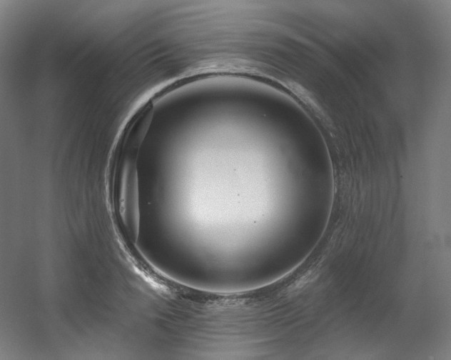 X0000060580846200511031334