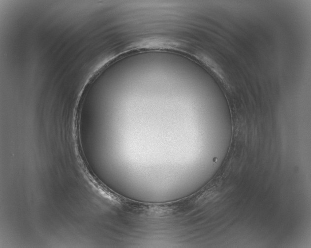 X0000060580848200511031334