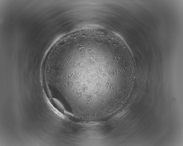 X0000060580851200511031334