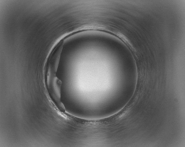 X0000060580854200511031334