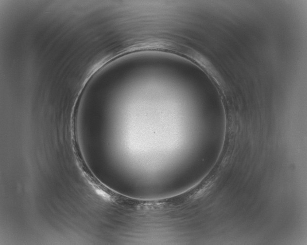 X0000060580858200511031334