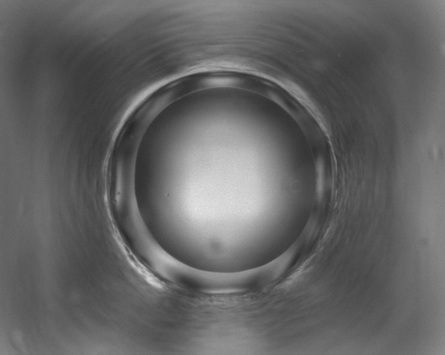 X0000060580862200511031334