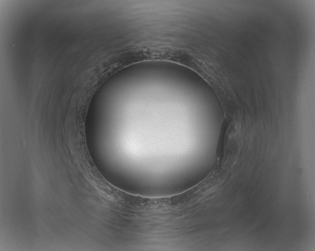 X0000060580865200511031333