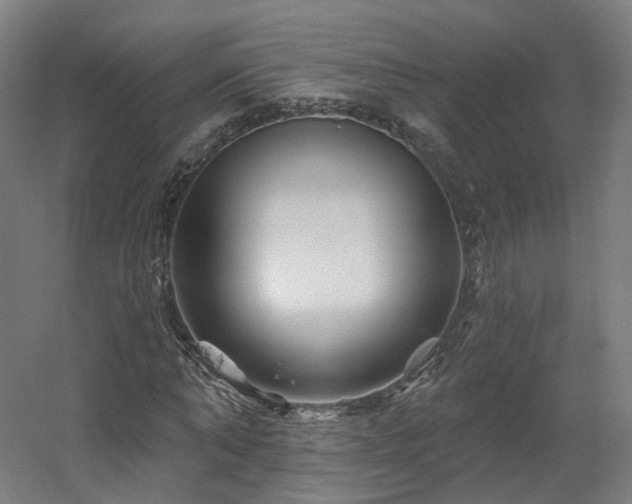 X0000060580870200511031333