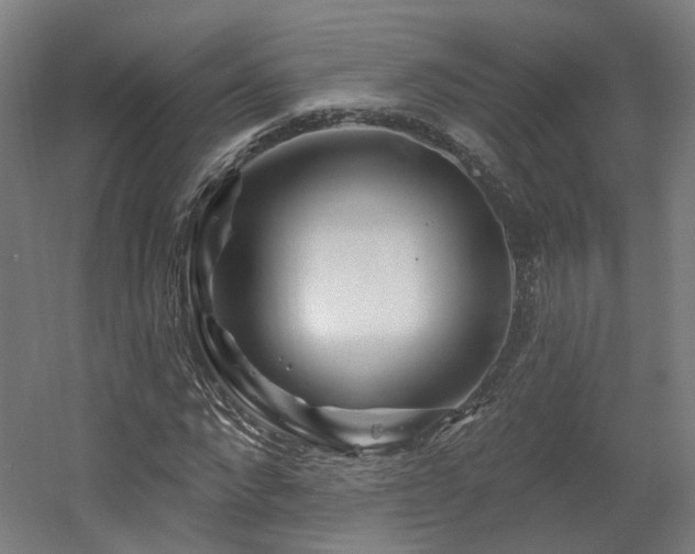 X0000060580872200511031333