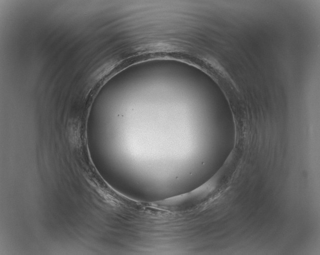 X0000060580873200511031333