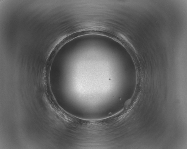 X0000060580875200511031333