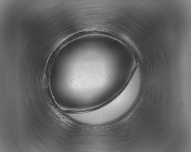 X0000060580876200511031333