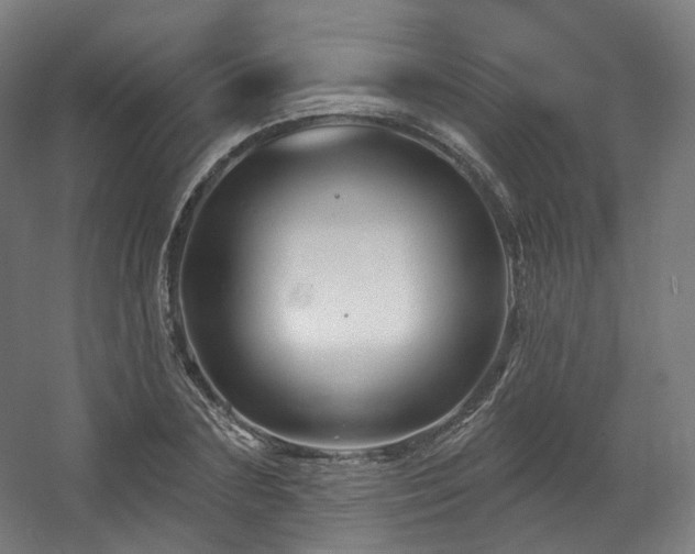 X0000060580883200511031333