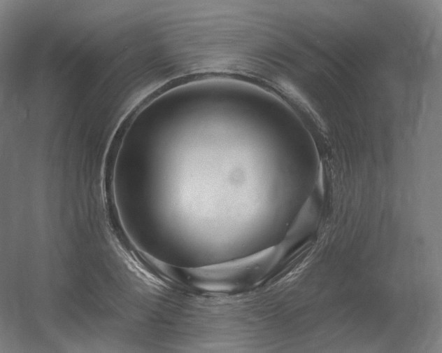 X0000060580884200511031333