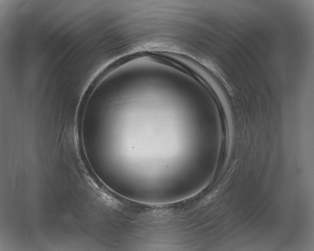 X0000060580888200511031333