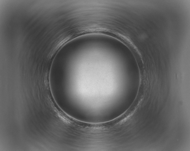 X0000060580889200511031333