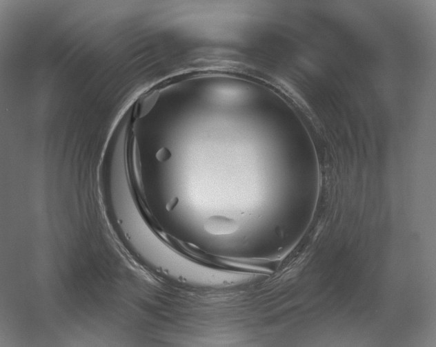 X0000060580891200511031333